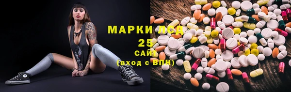 шишки Переславль-Залесский