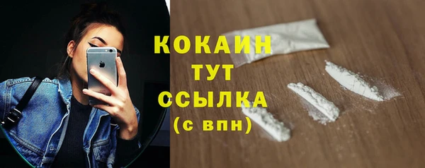 твердый Пересвет