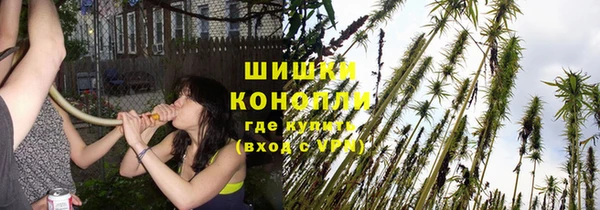 твердый Пересвет