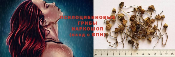 шишки Переславль-Залесский