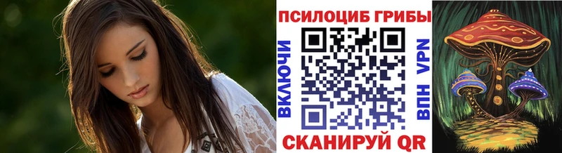 Галлюциногенные грибы Psilocybe Сальск