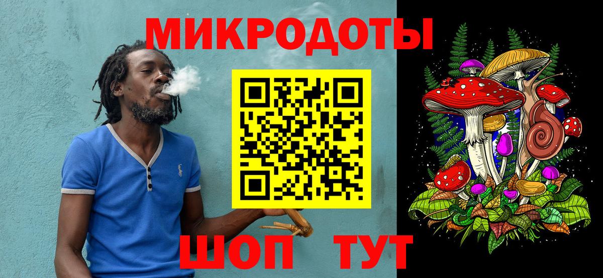 Галлюциногенные грибы Cubensis Сальск