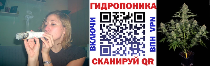кракен вход  магазин  наркотиков  Сальск  Канабис ГИДРОПОН 